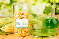 Meeting Green biofuel availability