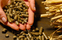 free Meeting Green biomass boiler quotes